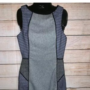 Endless Rose Sleeveless Sheath Dress Size Small